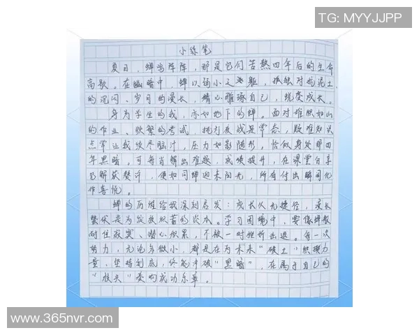 深度对话：探索吴芳在网球世界中的奋斗与成长之路