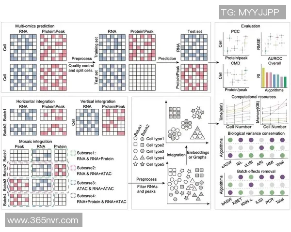 北京羽毛球队在钻石联赛中的心理素质分析与表现评估