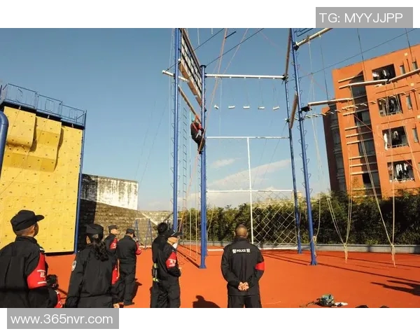 南京篮球队心理素质排名第五揭示球队背后的心理训练与成长之路