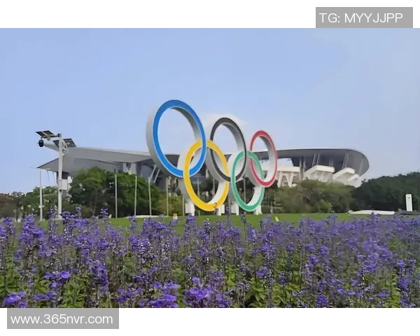 广州排球队耐力问题引发热议球迷与专家各执己见探讨真相