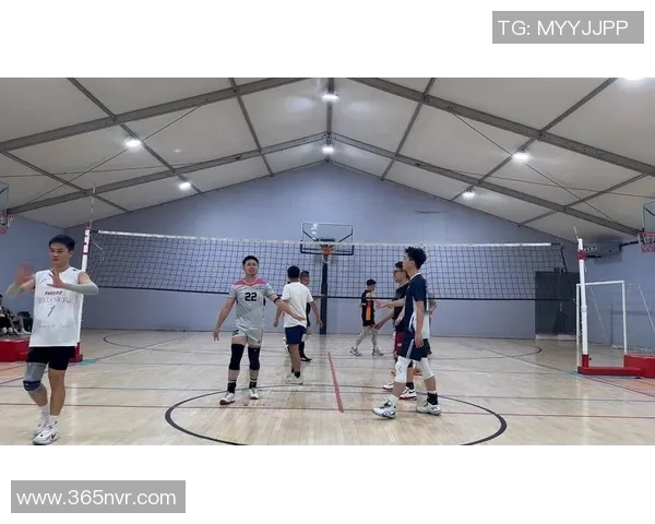 排球耐力榜单揭晓北京排球队荣登第一名引发热议